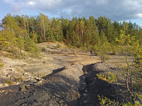 A vast area of stony soil, very undulating and devoid of vegetation. In the background a wall of trees