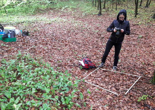 Kobieta w czarnym, turystycznym stroju stoi nad białą, kwadratową ramką i fotografuje znajdujące się w jej obrębie runo leśne