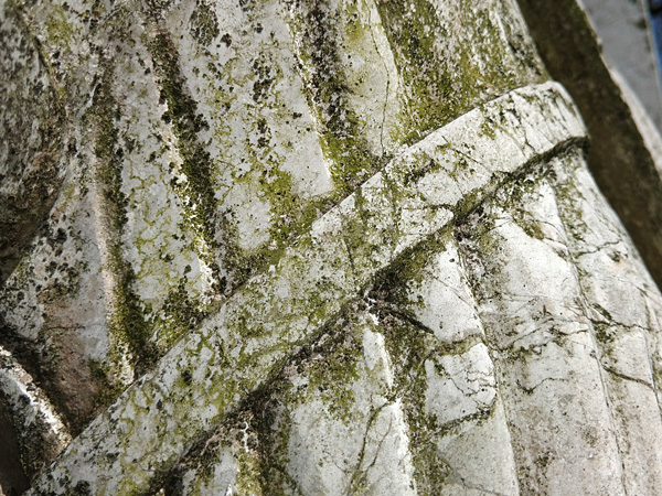 Fragment białej, kamiennej rzeźby pokrytej zielonym nalotem, zwłaszcza w wyżłobieniach
