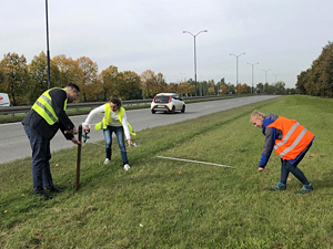 W stronę lepszego zarządzania zielenią miejską – wpływ koszenia na ekosystem przydrożnych trawników