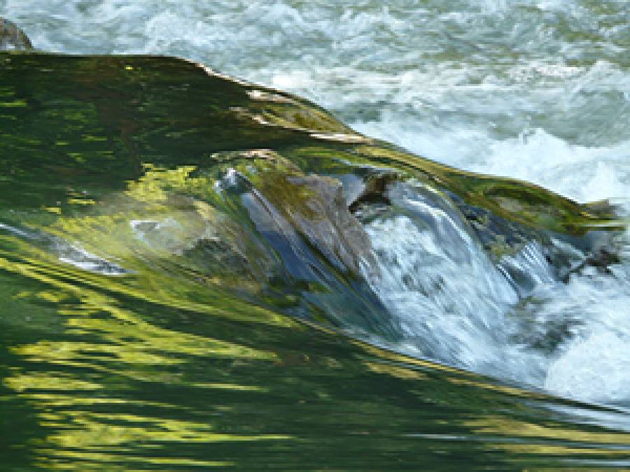 A rock/biological system to increase biodiversity and self-purification of surface waters, combined with preventive monitoring of algal blooms (HydroBiom)